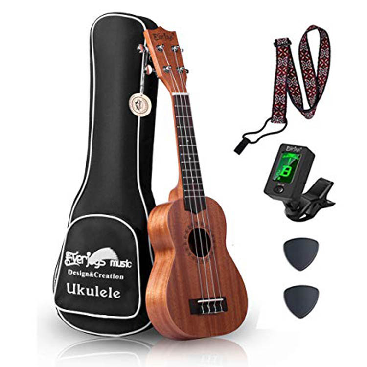 Mahagoni Sopran Ukulele Kit - Professionelle 21 Zoll mit Case Strap Tuner Aquila Strings EVUKP